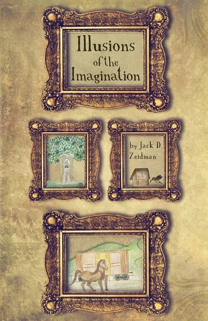 Illusions of the Imagination - Paperback