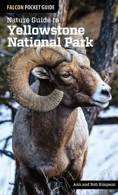 Nature Guide to Yellowstone National Park - Paperback