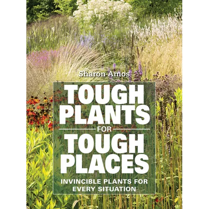 Tough Plants for Tough Places: Invincible Plants for Every Situation - Paperback