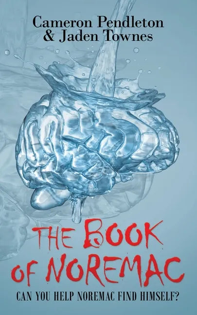 The Book of Noremac: Can You Help Noremac Find Himself? - Paperback