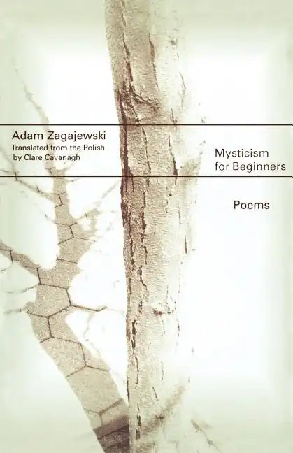 Mysticism for Beginners: Poems - Paperback