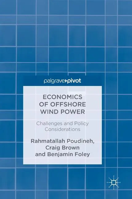 Economics of Offshore Wind Power: Challenges and Policy Considerations - Hardcover