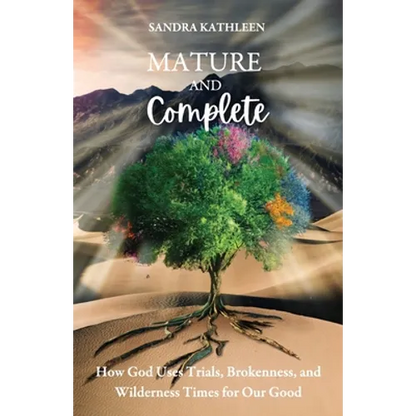 Mature and Complete: How God Uses Trials, Brokenness, and Wilderness Times for Our Good - Paperback