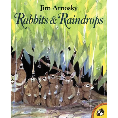 Rabbits and Raindrops - Paperback