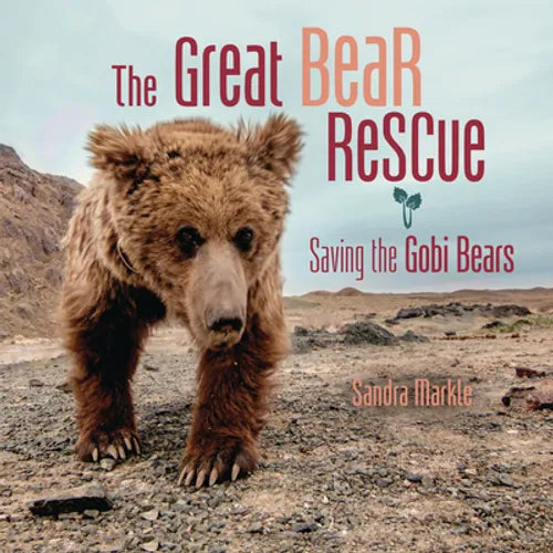 The Great Bear Rescue: Saving the Gobi Bears - Library Binding