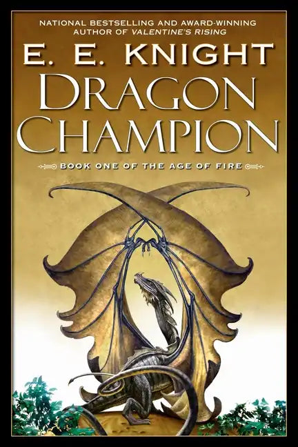 Dragon Champion - Paperback