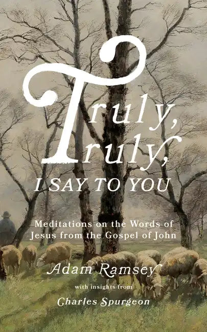 Truly, Truly, I Say to You: Meditations on the Words of Jesus from the Gospel of John - Paperback