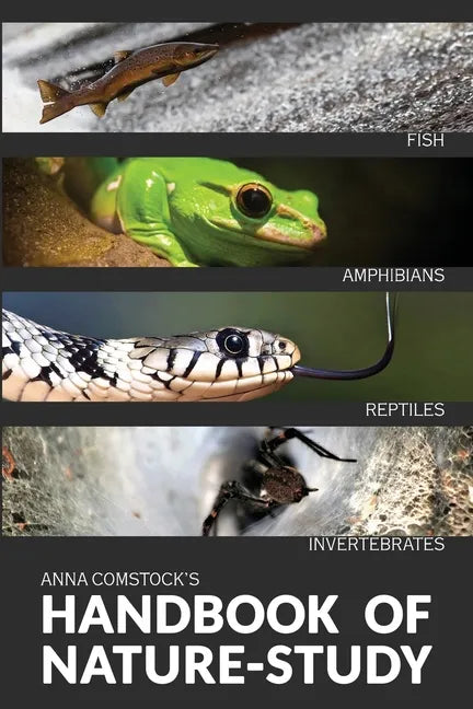 The Handbook Of Nature Study in Color - Fish, Reptiles, Amphibians, Invertebrates - Paperback