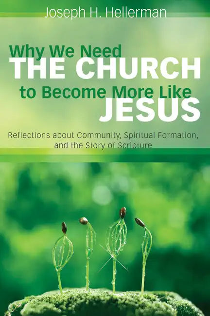 Why We Need the Church to Become More Like Jesus: Reflections about Community, Spiritual Formation, and the Story of Scripture - Paperback