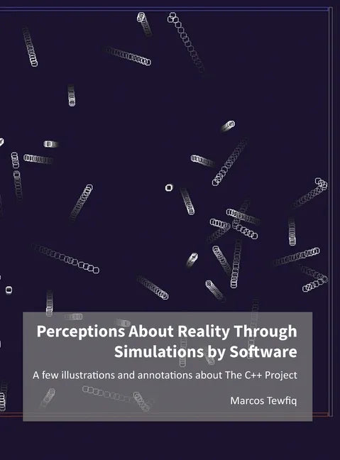 Perceptions About Reality Through Simulations by Software: A few illustrations and annotations about The C++ Project - Hardcover