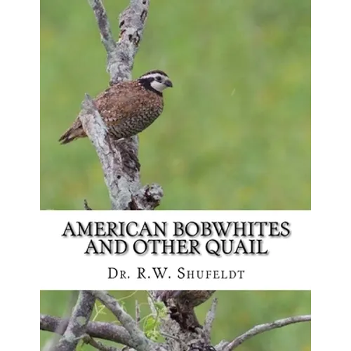 American Bobwhites and Other Quail - Paperback