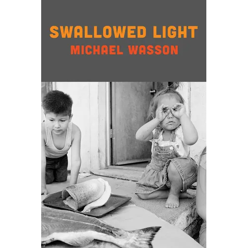 Swallowed Light - Paperback