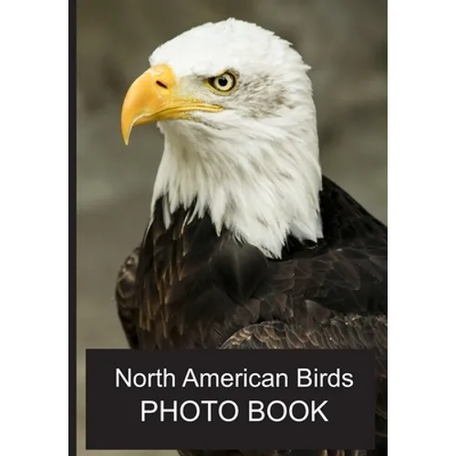North American Birds Photo Book: 40 Different Bird Photos With Identification Names For Alzheimer & Dementia Patients To Help With Memories and Memory - Paperback