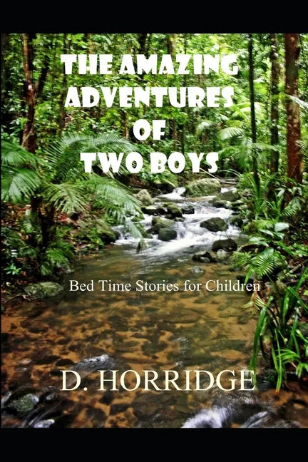 The Amazing Adventures of Two Boys: Bed Time Stories for Children - Paperback
