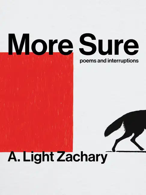 More Sure - Paperback