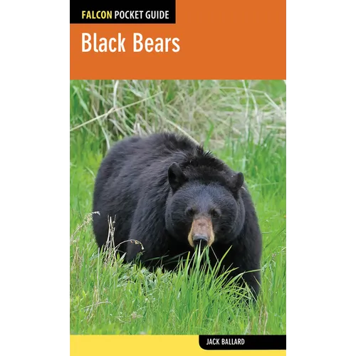 Black Bears - Paperback