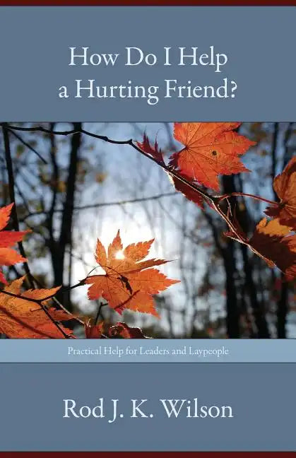 How Do I Help a Hurting Friend? - Paperback