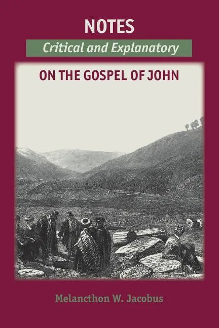 Notes on the Gospels: Critical and Explanatory on John - Paperback