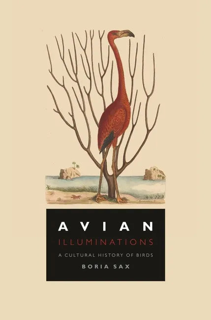 Avian Illuminations: A Cultural History of Birds - Hardcover