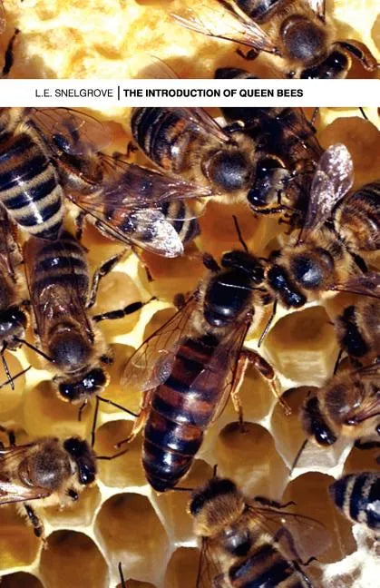 The Introduction of Queen Bees - Paperback