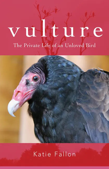 Vulture: The Private Life of an Unloved Bird - Paperback