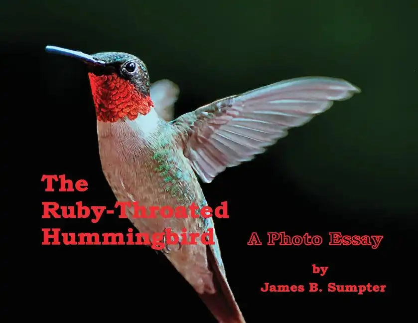 The Ruby-throated Hummingbird: A Photo Essay - Paperback