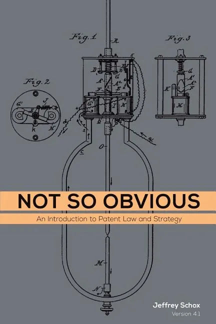 Not So Obvious: An Introduction to Patent Law and Strategy - Paperback