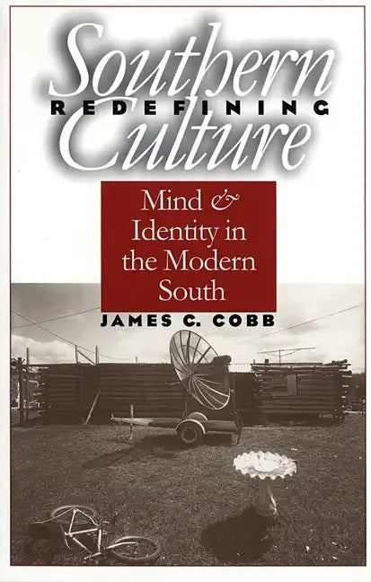 Redefining Southern Culture: Mind and Identity in the Modern South - Paperback
