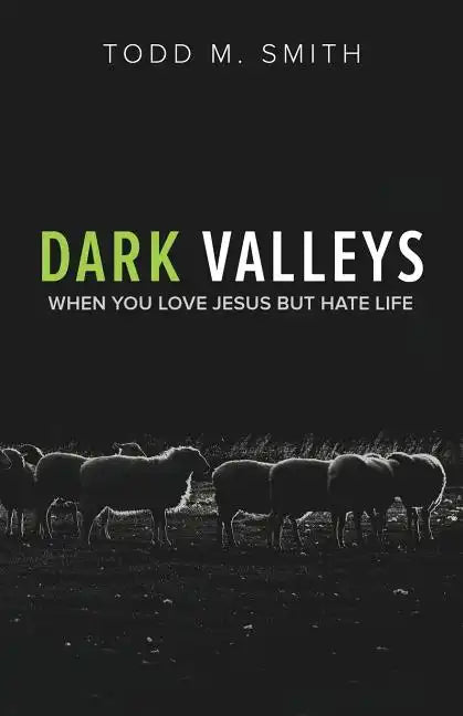 Dark Valleys: When You Love Jesus But Hate Life - Paperback