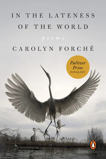 In the Lateness of the World: Poems - Paperback