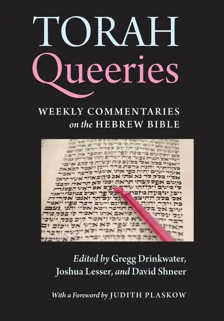 Torah Queeries: Weekly Commentaries on the Hebrew Bible - Paperback