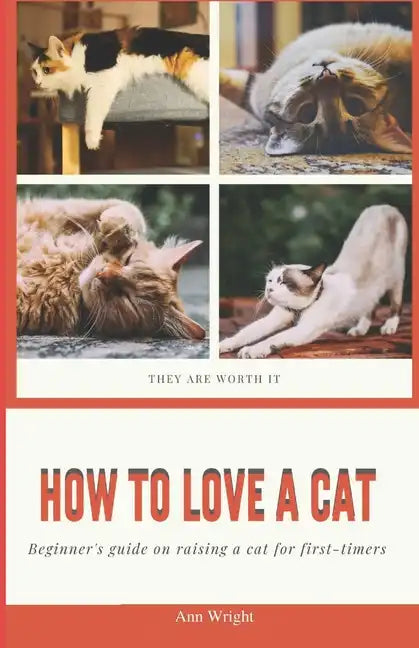 How to Love a Cat: Beginner's Guide on Raising a Cat for First Timers - Paperback