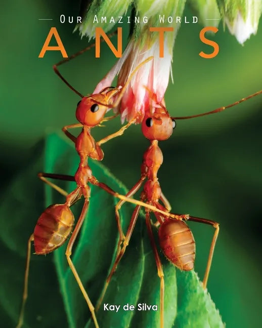 Ants: Amazing Pictures & Fun Facts on Animals in Nature - Paperback