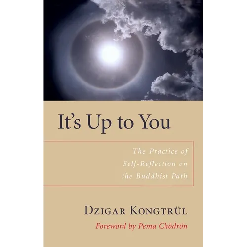 It's Up to You: The Practice of Self-Reflection on the Buddhist Path - Paperback