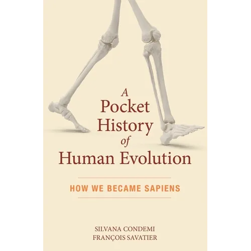 A Pocket History of Human Evolution: How We Became Sapiens - Paperback