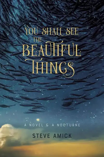 You Shall See the Beautiful Things: A Novel & a Nocturne - Paperback