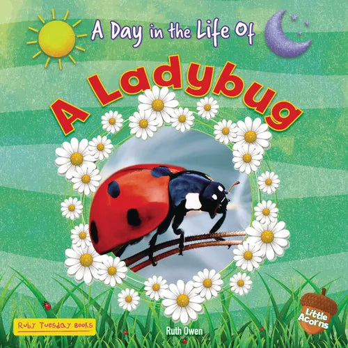 A Ladybug - Library Binding
