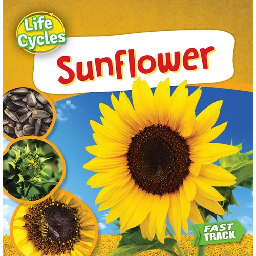 Sunflower - Paperback