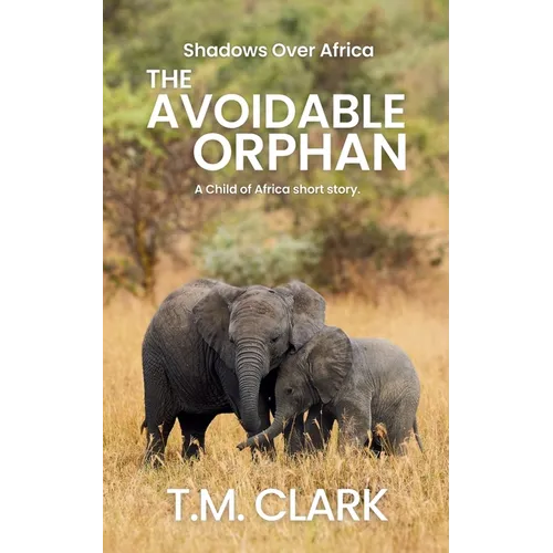 The Avoidable Orphan: a Child of Africa Story - Paperback