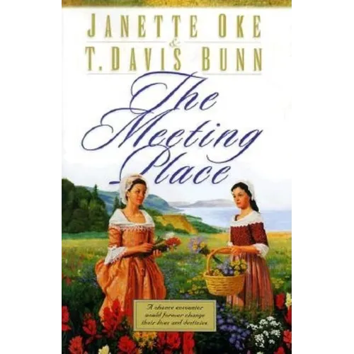 The Meeting Place - Paperback
