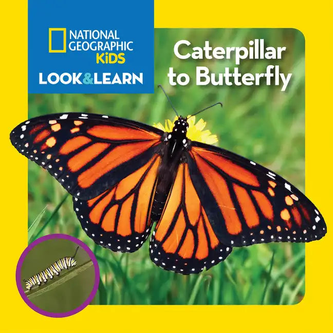 National Geographic Kids Look and Learn: Caterpillar to Butterfly - Board Book