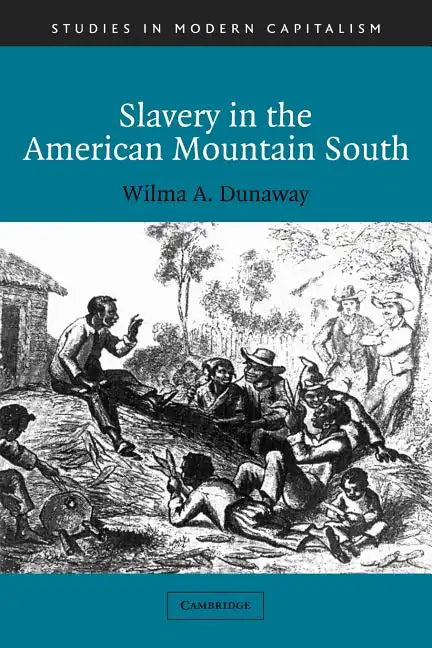 Slavery in the American Mountain South - Paperback