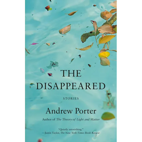 The Disappeared: Stories - Paperback