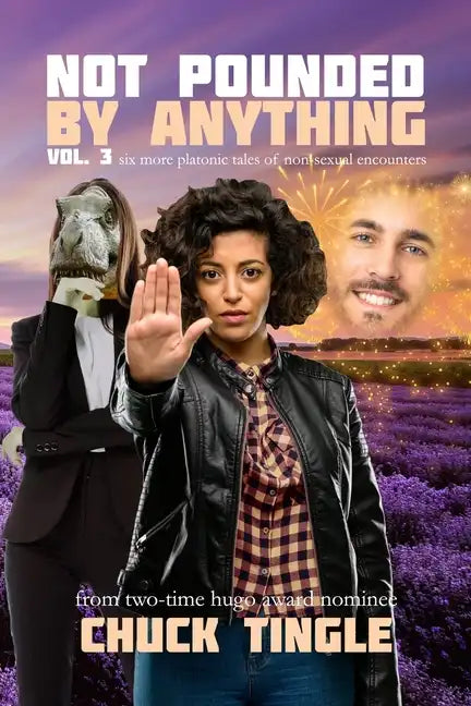 Not Pounded By Anything Vol. 3: Six More Platonic Tales Of Non-Sexual Encounters - Paperback