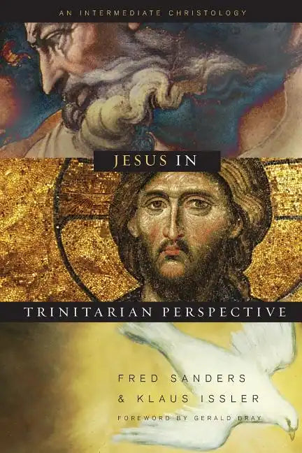 Jesus in Trinitarian Perspective: An Introductory Christology - Paperback