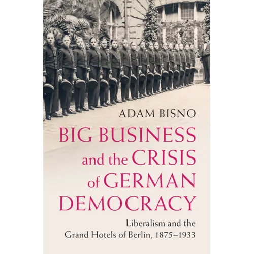 Big Business and the Crisis of German Democracy - Hardcover
