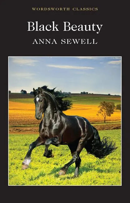 Black Beauty - Paperback