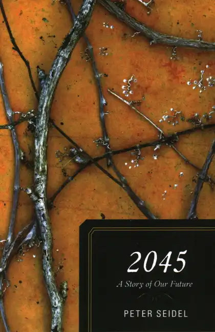 2045: A Story of Our Future - Paperback