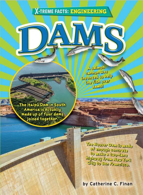 Dams - Paperback