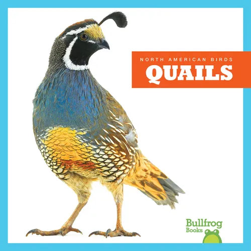 Quails - Paperback